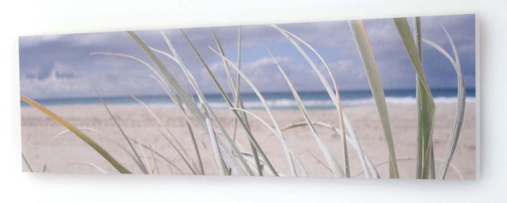 Foam Mounted Prints (PICK-UP ONLY) Have your images turned into light weight ready-to-hang works of art! Your prints are mounted onto 20mm foam board and laminated in either a gloss or matt finish.