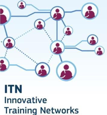 Innovative Training Networks (ITN) Doctoral-level programme run by an international network of organisations, develops both research and transferable skills Training through undertaking