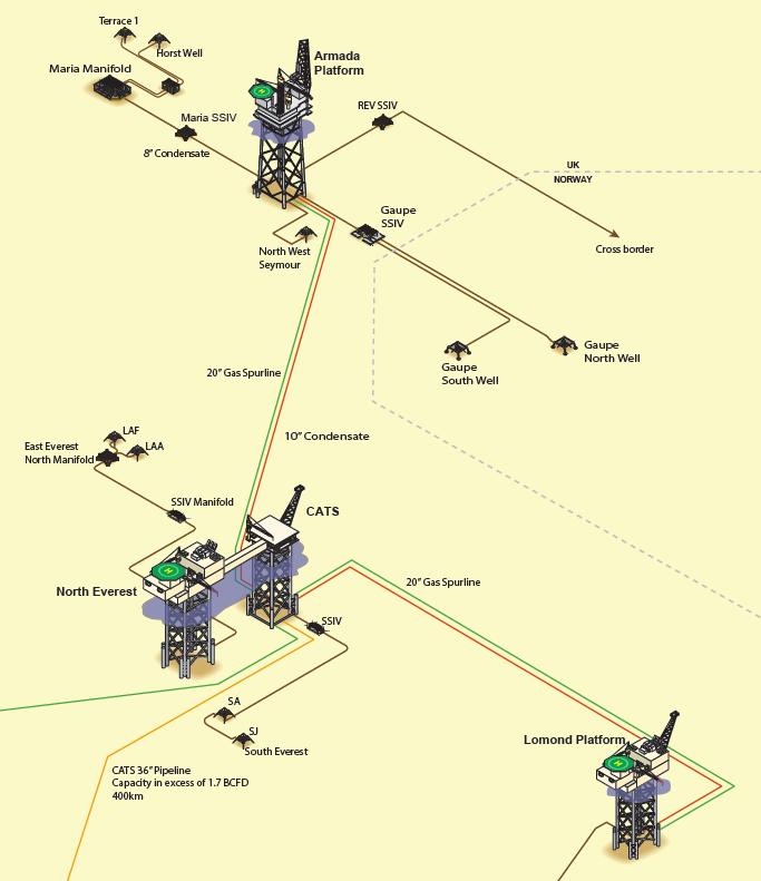 WELLS AND SUBSEA PORTFOLIO Fifty Wells Three Primary Structures Three Operated Subsea Tiebacks plus Third Parties Seven