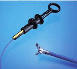 the routinely coiled position of the enteroscope.