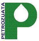 Summer internship 2006 Sumer internship Petrozuata Joint venture ~ 51% ConocoPhillips ~ 49 % PDVSA