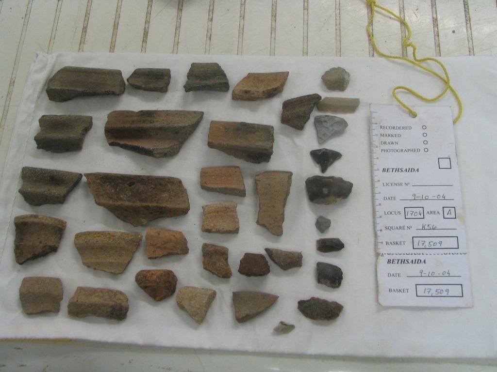 Locus 1704, Iron Age IIa shards of pottery, notice the cooking pots,