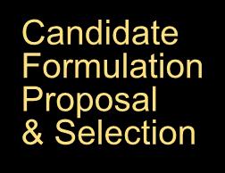 Candidate Formulation Proposal