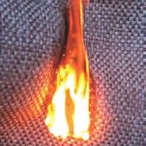 manner of specimen s combustion at 2 seconds after ignition and flame removal.