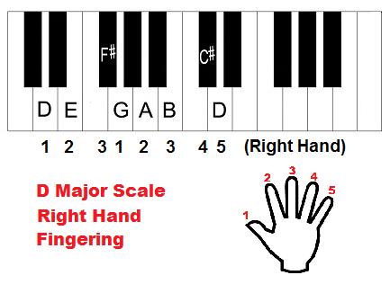 Playing the D major scale with the Left hand When playing the D major scale with the left hand, the following fingering should be followed.