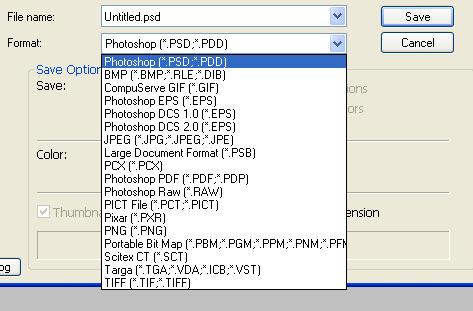 Next to File name, type in the file name you wish to use for the name of the scanned image file. To name the file, follow file naming guidelines at http://hbculibraries.org/docs/file_naming.pdf.