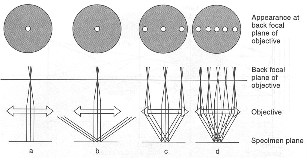 Image formation in the light microscope Diffraction patterns in the back focal plane Generation of an image by interference requires collection of two