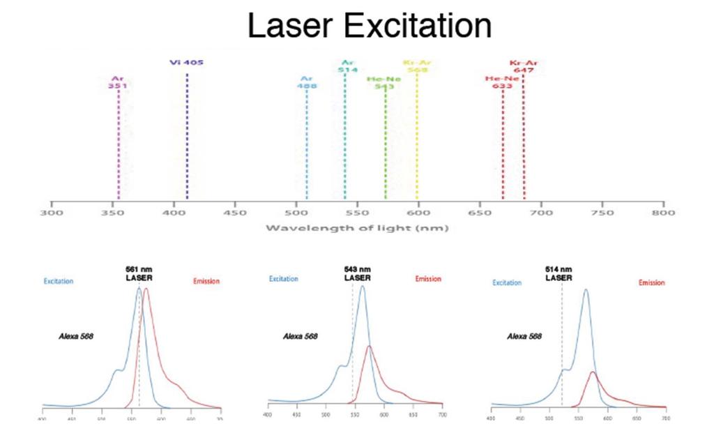 Confocal laser