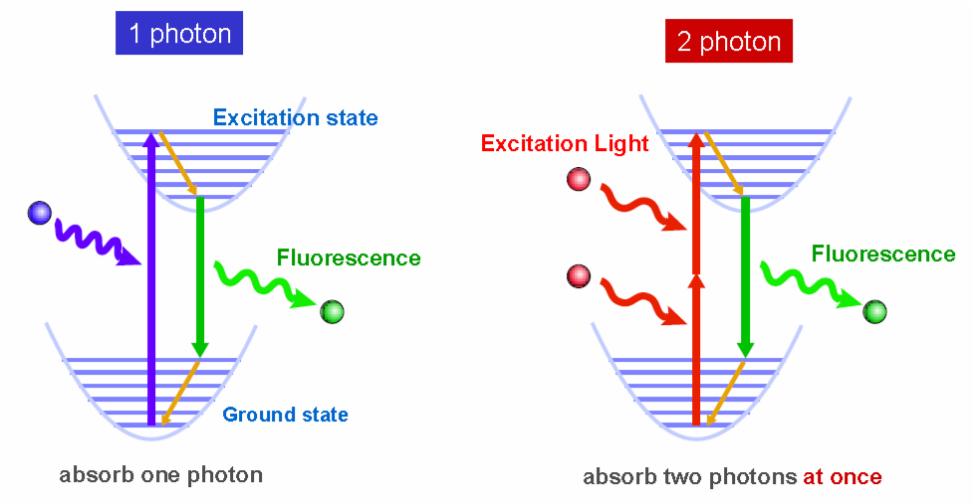 Multiphoton Two photons that arrive