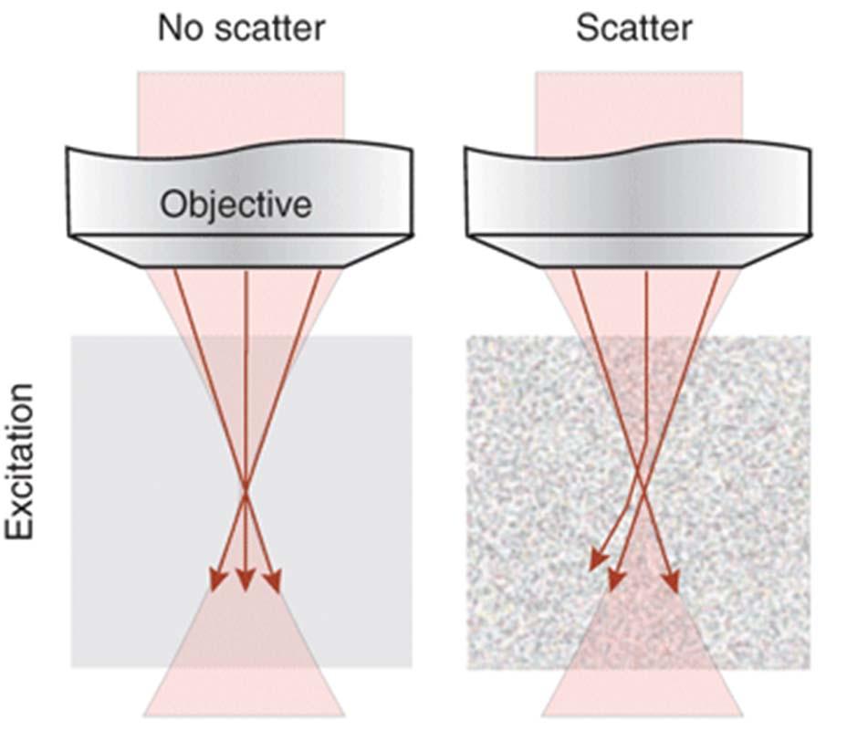 Multiphoton Imaging in scatter