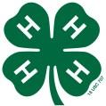 Mini 4-H SEWING PROJECT Mini 4-H is open to youth who are currently in Kindergarten, first, or second grade at the time of their