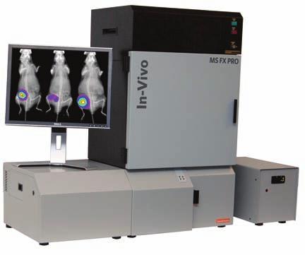 In-Vivo DXS PRO The DXS PRO System is ideal for X-ray imaging of small animals, plants, and more.
