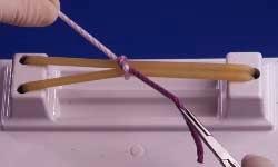 3 First half hitch completed by pulling needleholder toward operator with right hand and