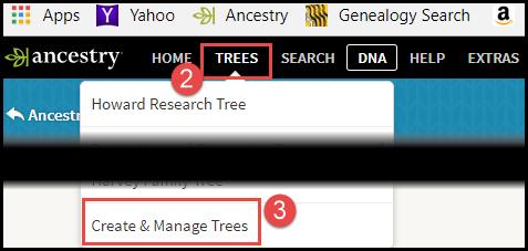 IMPORTANT: To tell if the names are from the same tree owner family, look first for the name of the tree owner. The same owner name appears in all of them.