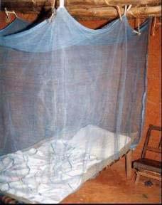 Case of the Development and Diffusion of Mosquito Nets for