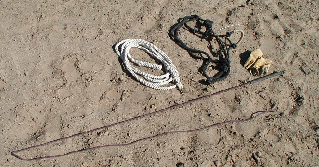 Remember to keep it simple! To start you will need a 20 ft. lunge line, I prefer a cotton type rope that won t burn my hands as bad or burn the horse if he gets tangled up in the line.