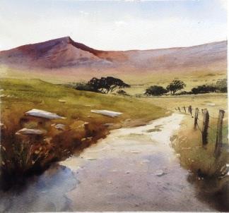 successful freelance artist, working in all mediums, but specialising in watercolour.