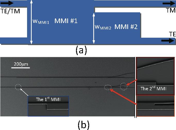 For the other polarization, a second narrow MMI section is cascaded to collect and focus the light.