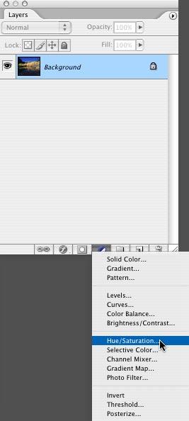 adjustment layer icon at the base of the Layers palette. From the pop-up menu, choose Hue/ Saturation.