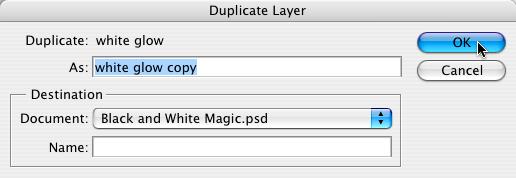 choosing Layer>Duplicate Layer.