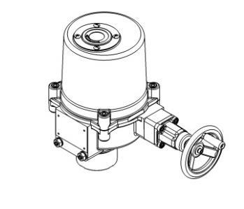 (For example: If the actuator is at fully-open position, the valve should be also at fully-open position.) Remove valve s manual device and mount on the proper connection.