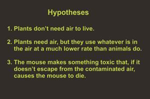 Now let s look at our second hypothesis, that plants, like animals, need air, but they use whatever is in the air at a much lower rate than animals do, and that s why