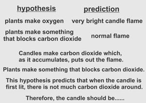 And if plants make something that blocks carbon dioxide, what will the candle flame look like when we now light the candle? Let s think about this for a moment.
