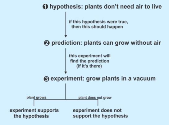 Slide 11: Choosing your hypothesis. One hypothesis is that plants don t need air to live.