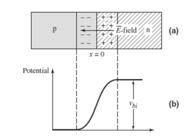 Figure 1.12 The pn junction in thermal equilibrium.