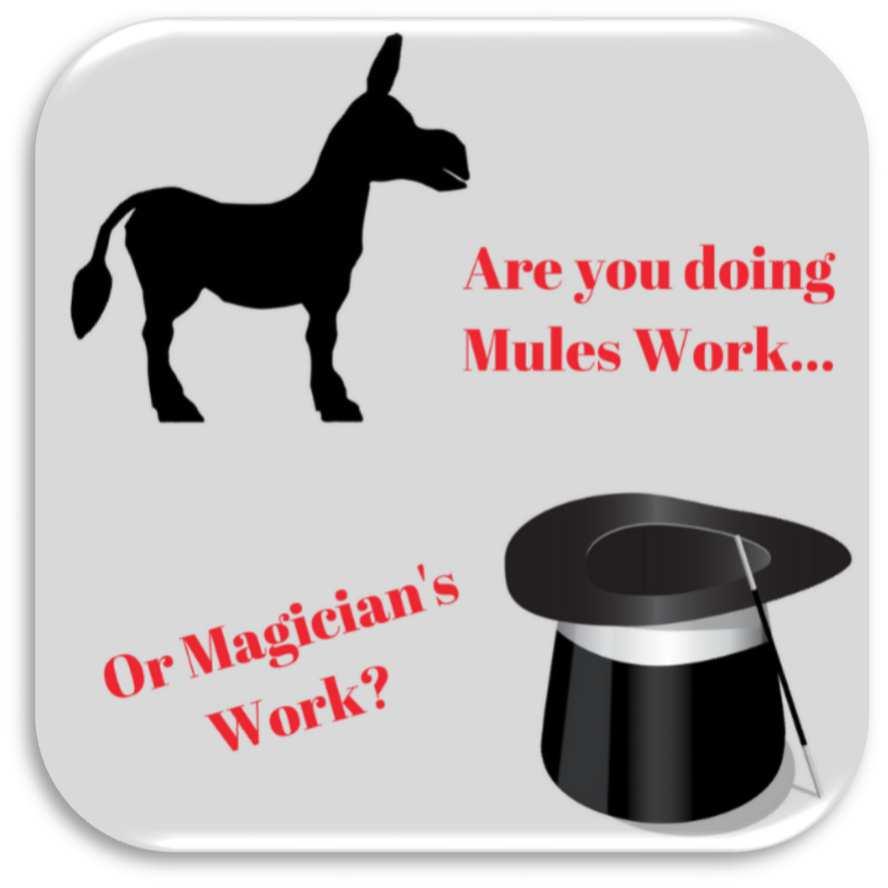 7. OUTSOURCE DO MAGICIAN S WORK NOT MULES WORK Honestly, this is the biggest of all. First think about what your time is worth (in dollars and cents).