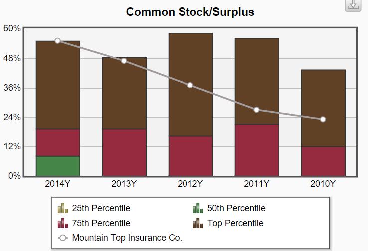 Common Stock/Surplus This chart indicates your company s common stock allocation relative to your peers.