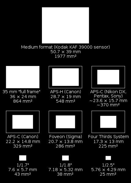 Point-and-shoot cameras typically have a smaller sensor