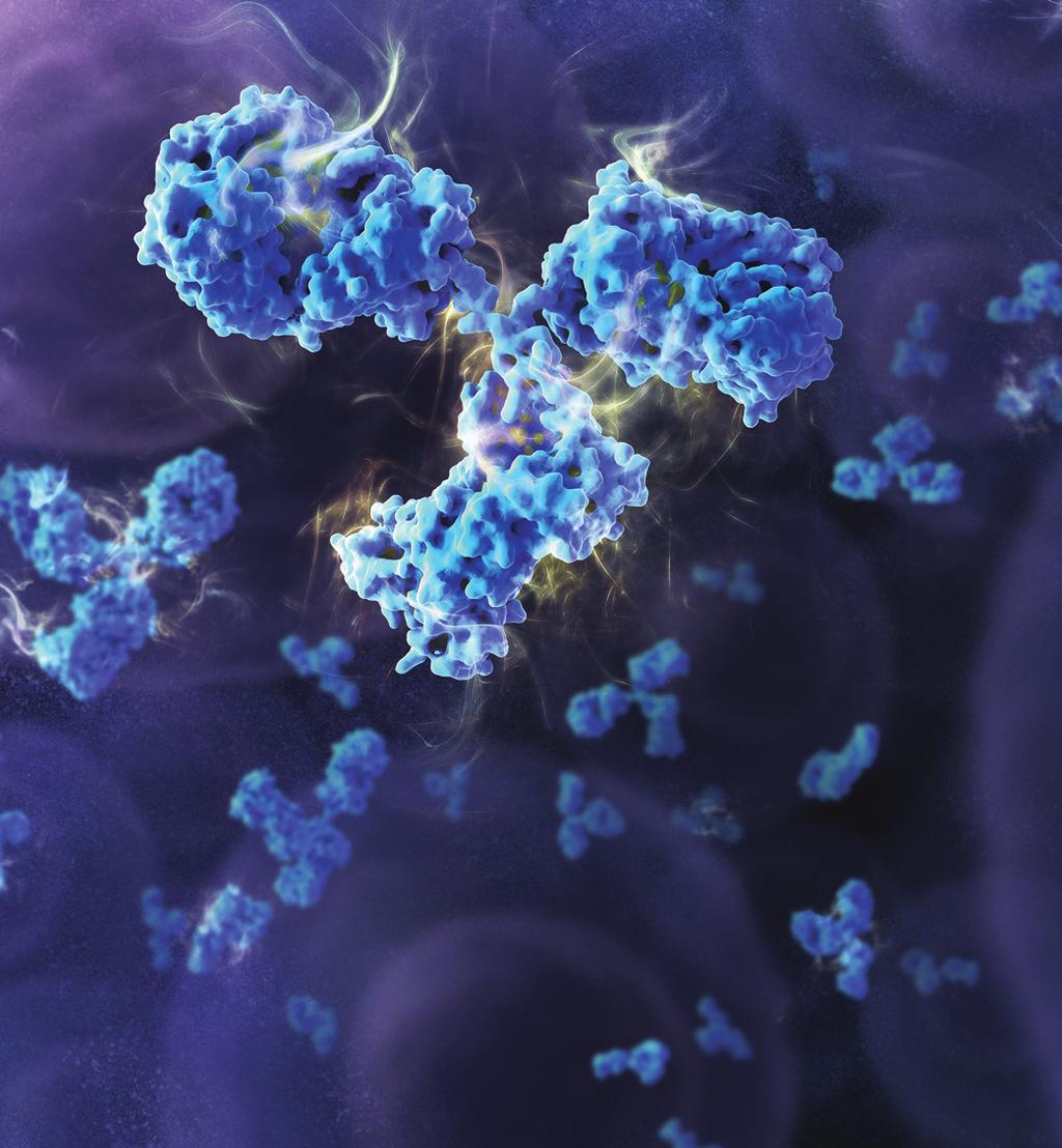 Artist s rendering of an antibody molecule.