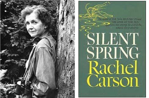 Rachel Carson It is a wholesome and necessary thing for us to turn again to