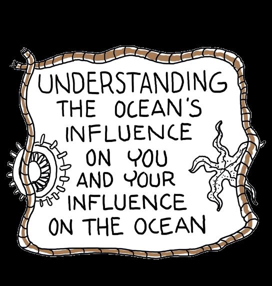 about the ocean