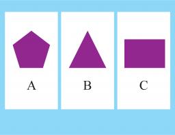 Skill 7 SM03G1.1.1a_2019_T2: Here are some shapes. Find the shape with 4 sides.
