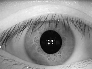A New Fake Iris Detection Method 1135
