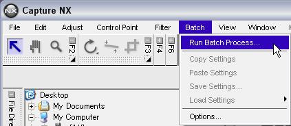 STEP 3: Apply the appropriate settings in the Batch Process panel and start the Batch Process Select Run Batch Process from the Batch menu.