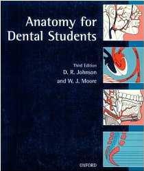 The following are Recommended Basic Texts for BCh.D. Students General Gross Anatomy Anatomy for Dental Students D. R. Johnson, W.
