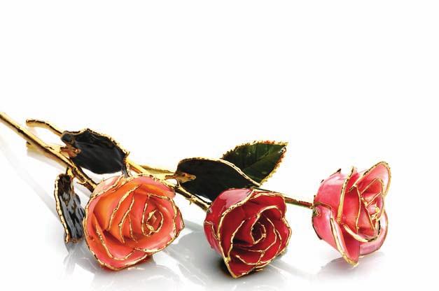 24kt Gold-Tipped Roses A. 61-9146 Lacquered Cream Rose with Gold Trim, 12 $39.50 B. 61-9141 Lacquered Red Rose with Gold Trim, 12 $39.50 C. 61-9147 Lacquered Pink Rose with Gold Trim, 12 39.