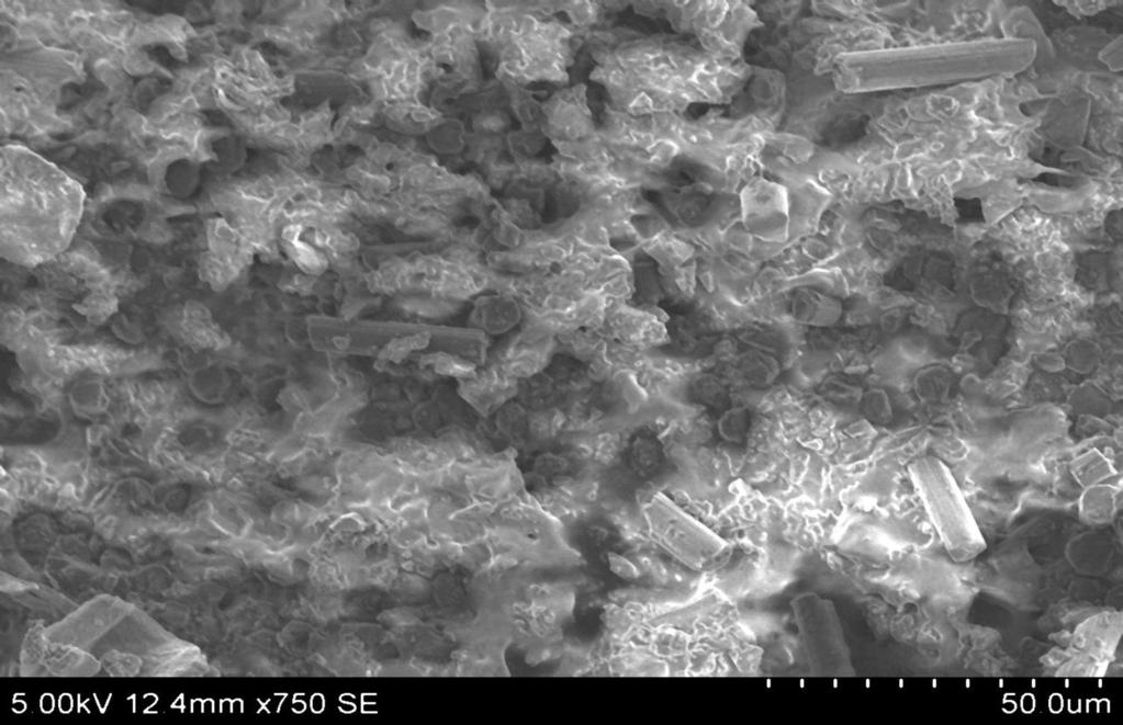 173 Figure 6.7 shows a typical scanned electron microscope (SEM) image on the surface of a drilled hole in CFRP composite plate. The fiber pull-out and excessive resin are observed in this SEM image.