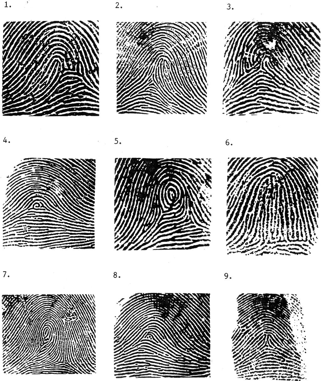 TP Basic Fingerprint Training Manual Section 6 - Classification - Reference Rules Automatic