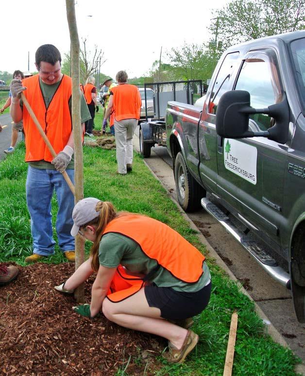 DIXON PARK & MAYFIELD COMMUNITY Over 80 trees were planted around the playground and