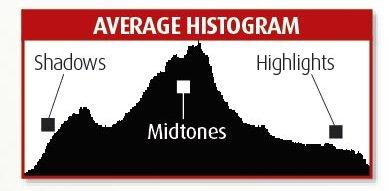 Therefore, by simply looking at an image s histogram, a photographer can tell whether the picture is made up of predominantly light, dark or mid-tones and