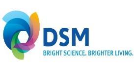 Our Suppliers For more than a century DSM led innovative thinking, created innovative products, and even reinvented themselves more than once.