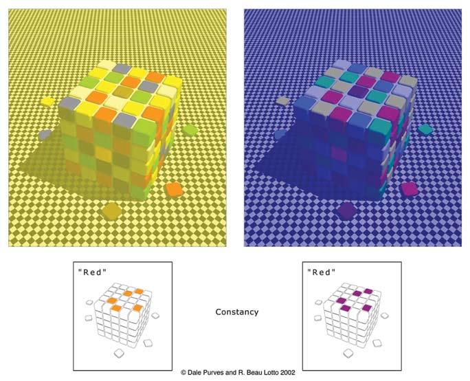 Figure 9 Extreme color constancy in three dimensions The Protocol editor allowed me to take over the front cover this issue so turn there for one last example; you will see the same cube only this