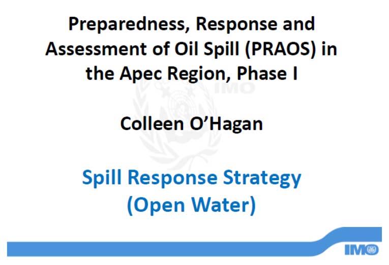 Lectures on the Overview of Spill