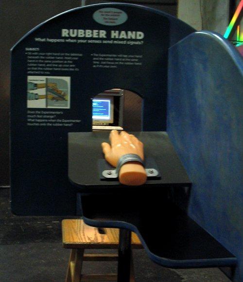 Figure 2. Rubber Hand - Subject s Side Figure 3. Rubber Hand - Experimenter s Side This formative evaluation looks at What did visitors do at the Rubber Hand prototype?