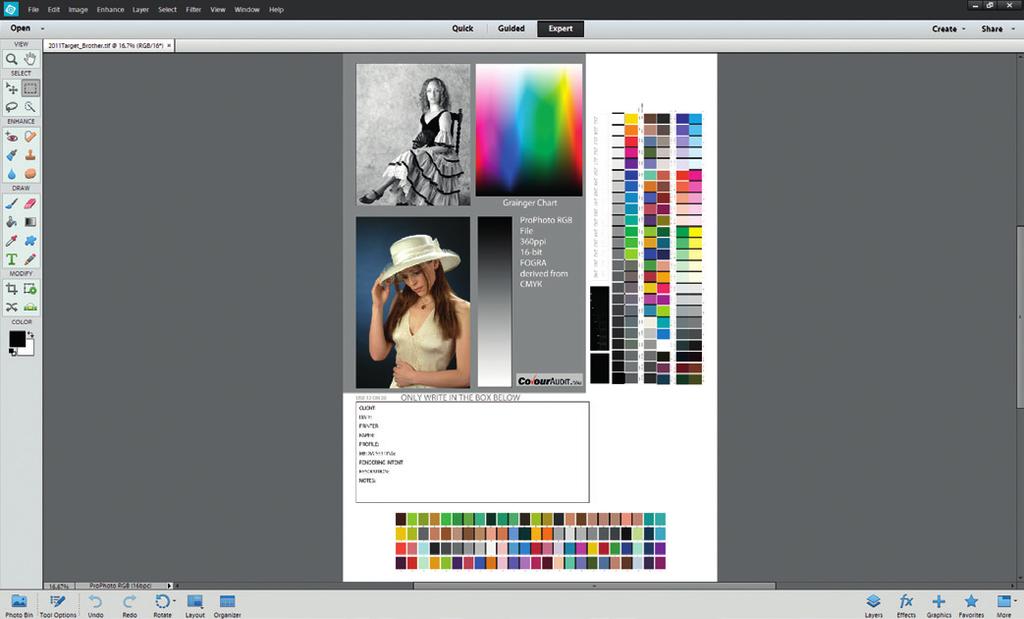 Elements can handle both 16-bit and ProPhoto RGB files. It has to convert CMYK files to RGB on opening.