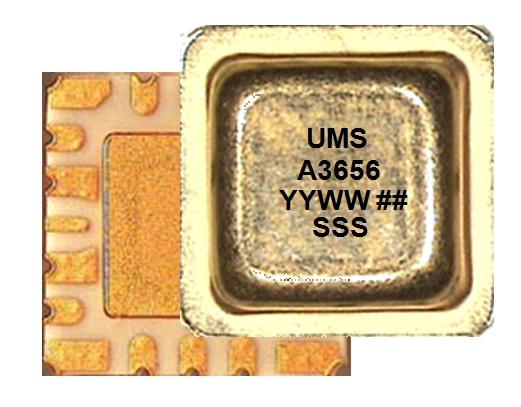 The circuit is manufactured with a phemt process, 0.25µm gate length, via holes through the substrate, air bridges and electron beam gate lithography.